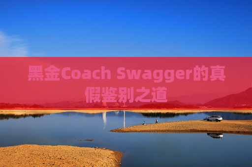 黑金Coach Swagger的真假鉴别之道